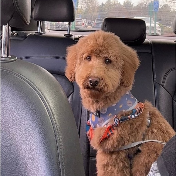 Meet your Posher, Sommer - Picture 6 of 13